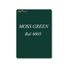 MOSS-GREEN (1) اسپری رنگ دوپلی کالر سبز سیر Moss Green کد 6005